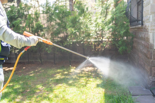 Seasonal Pest Control (e.g., summer mosquitoes, winter rodents)